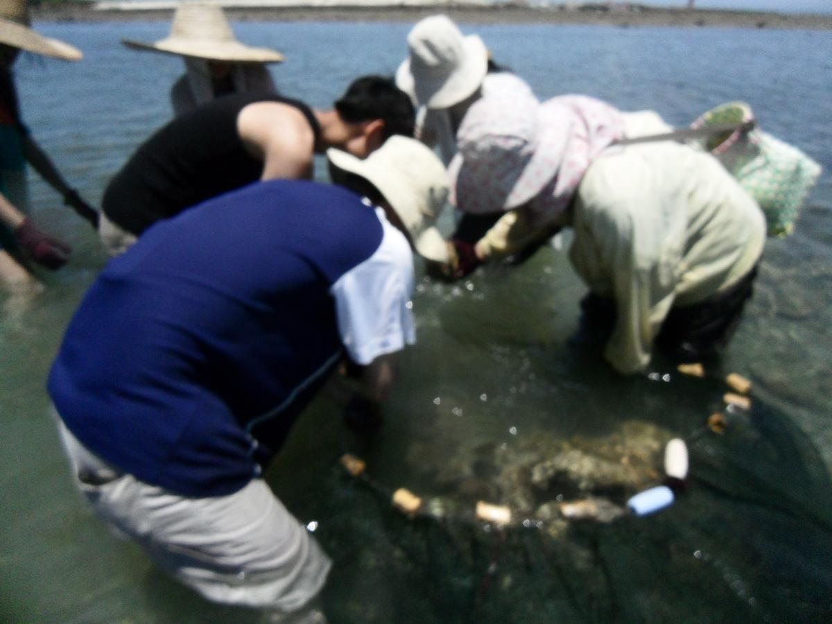 באיישה Penghu Chenhi Bay Homestay מראה חיצוני תמונה